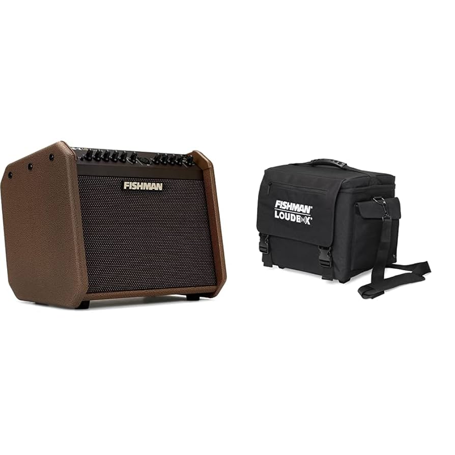 Amazon.com: Fishman Loudbox Mini Charge 60-Watt Battery